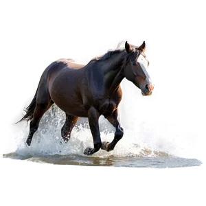 Black Horse Running In Water Png Gus PNG Image