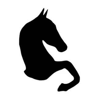 Black Horse Silhouette Graphic PNG image with transparent background