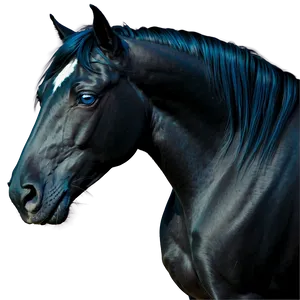 Black Horse With Blue Eyes Png Som PNG Image