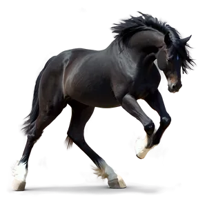 Black Horse With Feathered Hooves Png 54 PNG Image