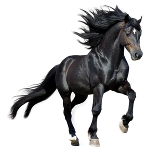 Black Horse With Flowing Mane Png 06262024 PNG Image