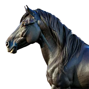 Black Horse With Flowing Mane Png 78 PNG Image