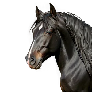 Black Horse With Flowing Mane Png 96 PNG Image