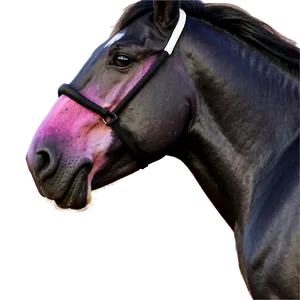 Black Horse With Pink Sunset Png 29 PNG Image