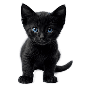 Black Kitten PNG ham4 PNG image with transparent background