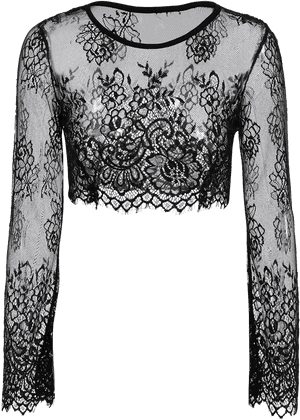 Black Lace Long Sleeve See-through Crop Top $14, HD Png Download PNG image with transparent background