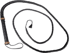 Whip Png Image - Png Latigos, Transparent Png PNG image with transparent background
