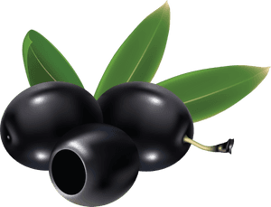 Black Olives Png , Png Download - Black Olives Clip Art, Transparent Png PNG with transparent background