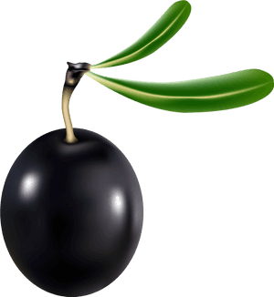 Black Olive Transparent Clipart , Png Download - Black Olive Png, Png Download PNG with transparent background