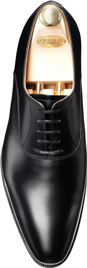 Black Oxford Dress Shoe PNG Image