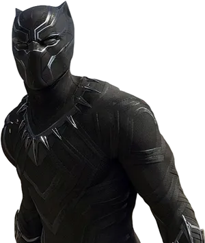 Black Panther Costume Portrait PNG Image