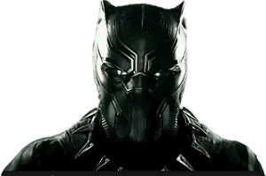 Black Panther Costume Portrait PNG Image