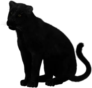 Black Panther In Darkness PNG Image