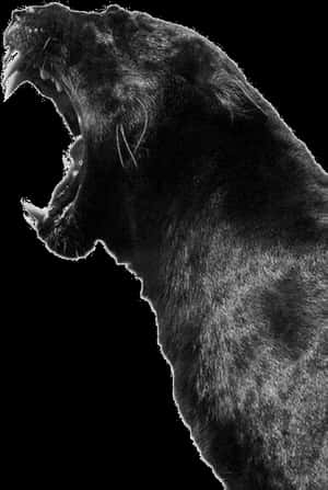 S - Animal Black Panther Png, Transparent Png PNG image with transparent background