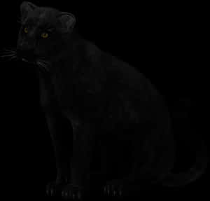 Black Panther Sitting - Transparent Black Panther Animal, HD Png Download PNG image with transparent background