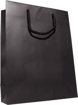 Plain Black Shopping Bag - Shopping Bag High Resolution, HD Png Download PNG