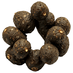 Black Pepper PNG 05242024 PNG image with transparent background