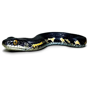 Black Python Illustration Png 06132024 PNG Image