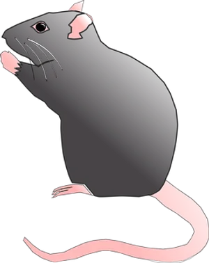 Black Rat Illustration PNG Image