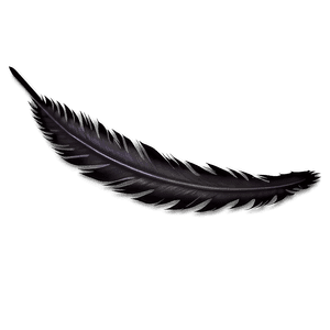 Black Raven Feather PNG 05042024 PNG image with transparent background