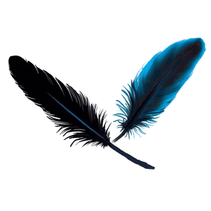 Black Raven Feather PNG 49 PNG image with transparent background