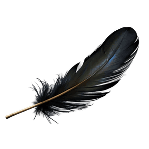 Black Raven Feather PNG 49 PNG image with transparent background
