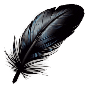 Black Raven Feather PNG oye33 PNG image with transparent background