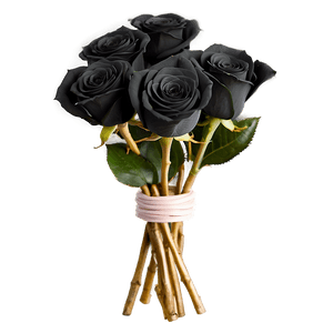 Black Roses Bouquet PNG 06212024 PNG
