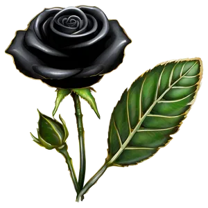 Black Roses Design Png 62 PNG Image