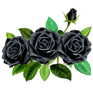 Black Roses Garden PNG 06212024 PNG
