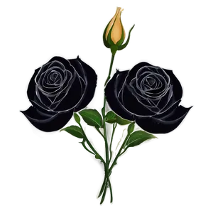 Black Roses Illustration Png Whn80 PNG Image