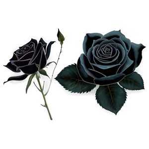 Black Roses Png Bnt PNG Image