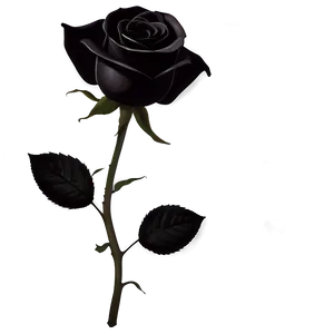 Black Roses Png Omh PNG Image