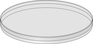 Black Round Serving Tray PNG Image