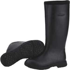 Rain Boot Transparent Png - Transparent Rain Boots Png, Png Download PNG image with transparent background