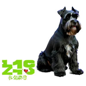 Black Schnauzer Png 60 PNG Image