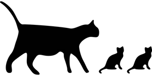 Black Screen Blank Image PNG Image