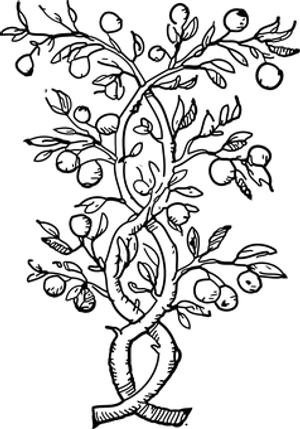 Black Screen Placeholder PNG Image