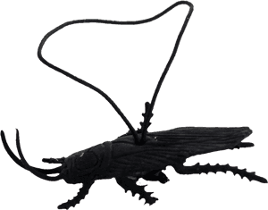 Transparent Roach Clipart - Longhorn Beetle, HD Png Download PNG