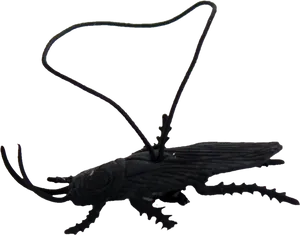 Black Silhouette Cockroach PNG Image