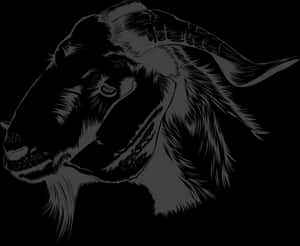 Black Silhouette Goat Graphic PNG image with transparent background