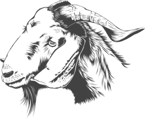 Black Silhouette Goat Graphic PNG Image