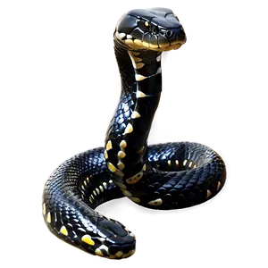 Black Snake D PNG Image