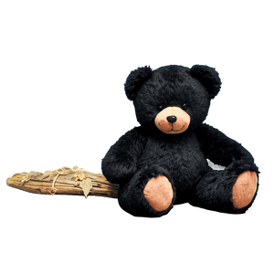 Black Teddy Bear PNG 11 PNG image with transparent background