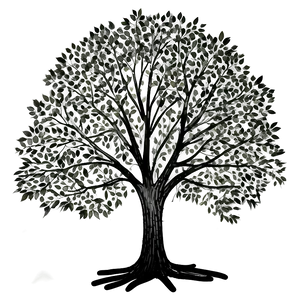 Black Tree Sketch Png Ccb90 PNG Image