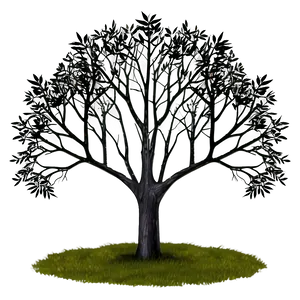 Black Trees A PNG Image