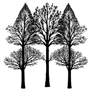 Black Trees Drawing Png 4 PNG Image