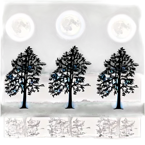 Black Trees In Moonlight Png Lge PNG Image