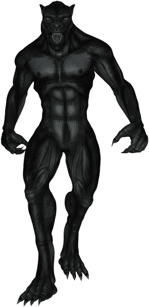 Werewolf, Fantasy, Wolf, Monster, Creature, Horror - Weerwolf Png, Transparent Png PNG image with transparent background