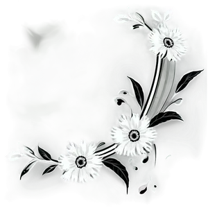 Black White Floral Images Png Jcn PNG Image